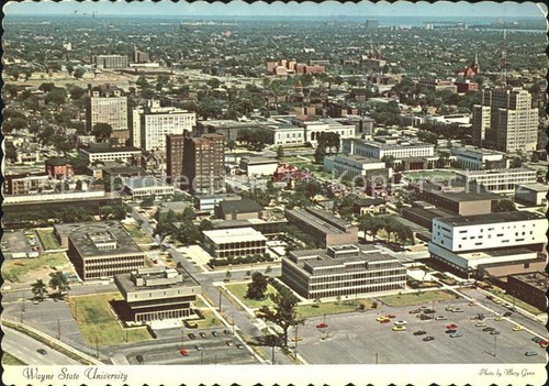 Wayne city stat - wayne, university