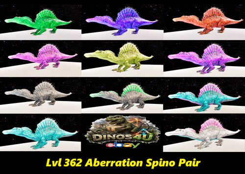 Aberrazione spino coppia top - aberrazione,